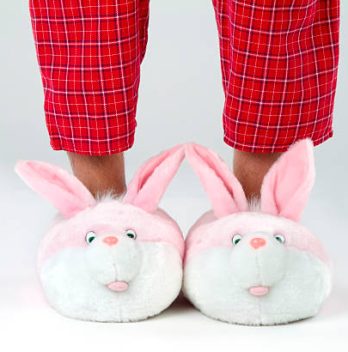 Quel type de chaussons animaux sont tendances en ce moment ?