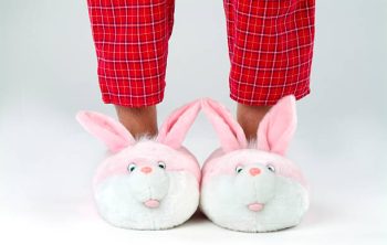 Quel type de chaussons animaux sont tendances en ce moment ?