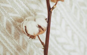 Profitez de moments de détente ultime avec un peignoir en coton