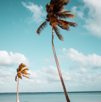 Dites adieu à la monotonie avec les sacs de plage originaux !