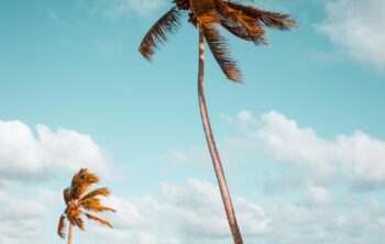 Dites adieu à la monotonie avec les sacs de plage originaux !