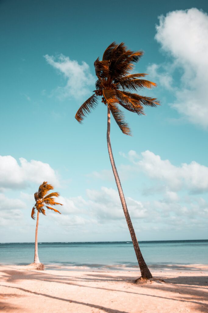 Dites adieu à la monotonie avec les sacs de plage originaux !