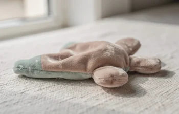 Tout savoir sur les doudous adaptés aux bébés de 0 à 6 mois
